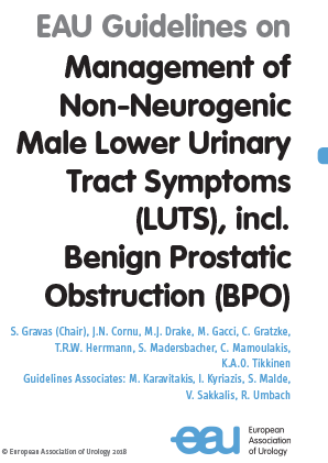 EAU LUTS Guidelines