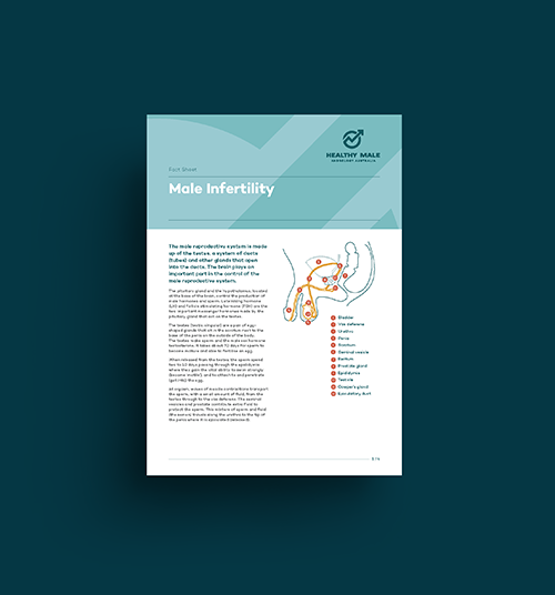 Male Infertility Fact Sheet Tile Image