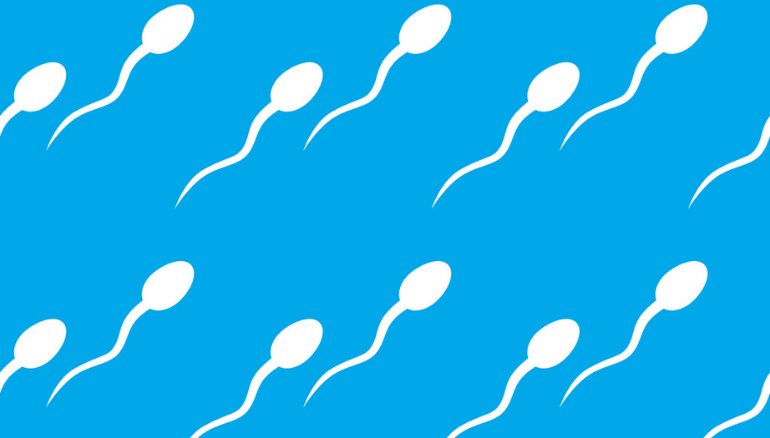 sperm