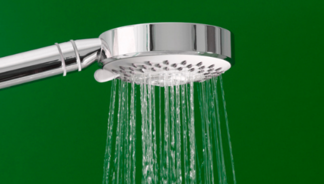 shower head